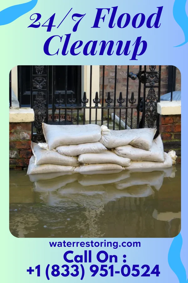24/7 Flood Cleanup in Hainesburg, NJ