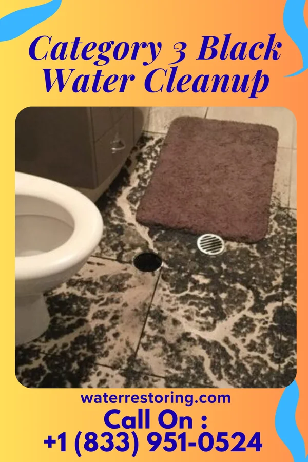 Category 3 Black Water Cleanup in Hainesburg, NJ