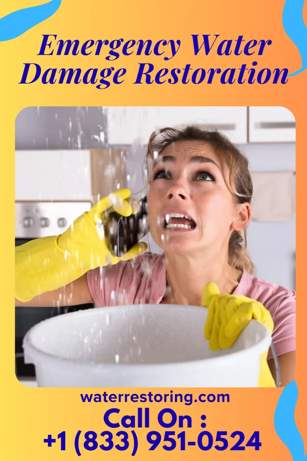 Emergency Water Damage Restoration in Hainesburg, NJ