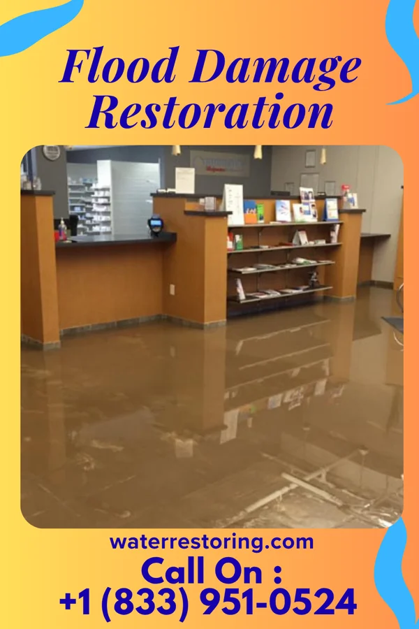Flood Damage Restoration in Hainesburg, NJ