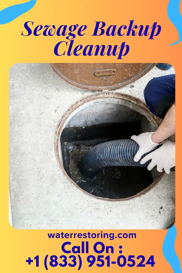 Sewage Backup Cleanup in Hainesburg, NJ