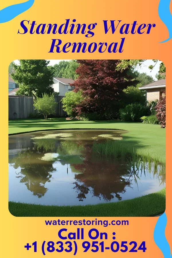 Standing Water Removal in Hainesburg, NJ